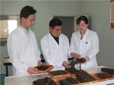 傳承茯茶非遺技藝、開拓創(chuàng)新引領(lǐng)行業(yè)發(fā)展