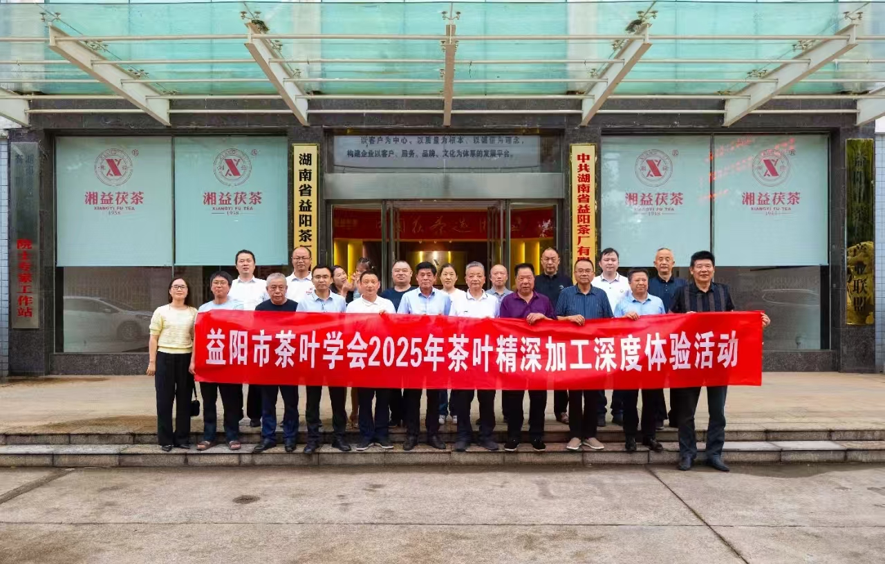 521國(guó)際茶日丨“非遺傳承?手筑茯香”茯磚制作體驗(yàn)活動(dòng)在益陽茶廠有限公司舉辦